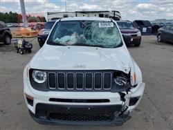 جيب رينيجيد